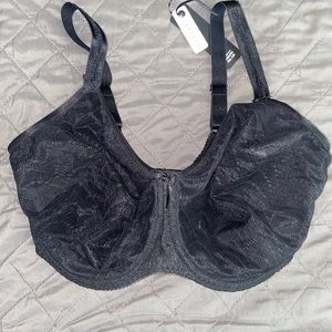 SOLD! Fantasie Echo Lace bra 36 GG